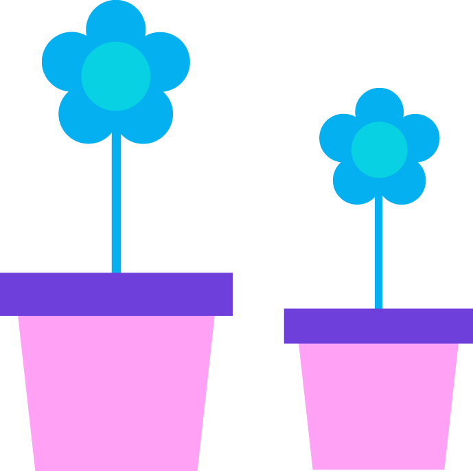 Beautiful by design